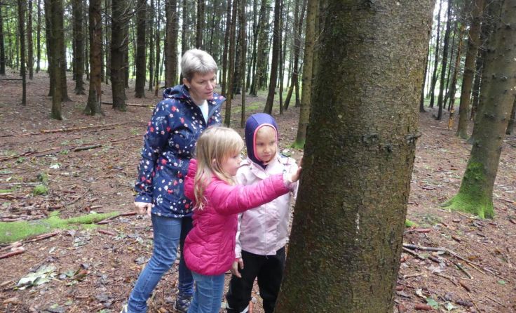 In den Ferien kann im Obst-Hügel-Land der Wald erkundet werden. (Foto: Naturpark Obst-Hügel-Land)