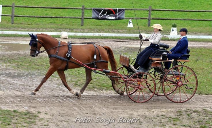 Andrea Schöftner holte sich den Vize-Landesmeistertitel (Foto: Sonja Bauer)