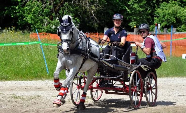 Landesmeisterin im Gespannfahren: Michaela Schöftner (Foto: Sonja Bauer)