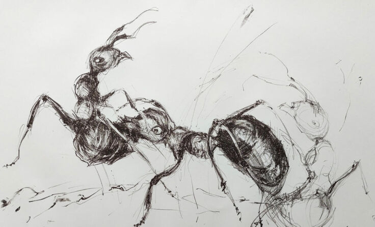 Druckkunst im Scheinhaus ausgestellt (Foto: Scheinhaus)