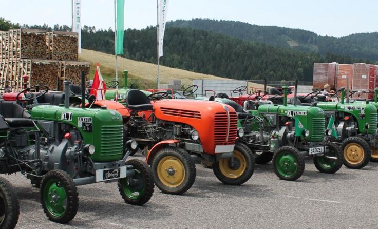 80 Oldtimer-Traktoren wurden beim Treffen in Gutau präsentiert.