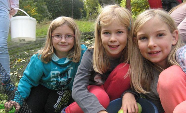 Volksschüler und die Energiegruppe machten gemeinsam Apfelsaft. Fotos: Pirklbauer