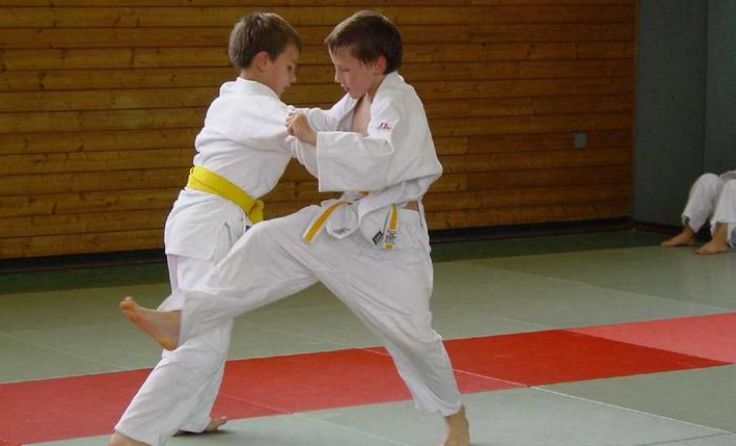 Den Kampfsport Judo können Kinder am 28. Oktober kennenlernen. 