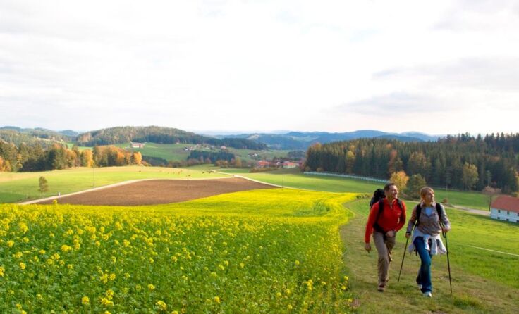 Als touristisches Leuchtturm-Projekt wurde der Johannesweg ausgezeichnet. Foto: Erber