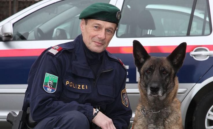 Polizeihund Tigra stellte den Flüchtenden. Foto: LPD OÖ