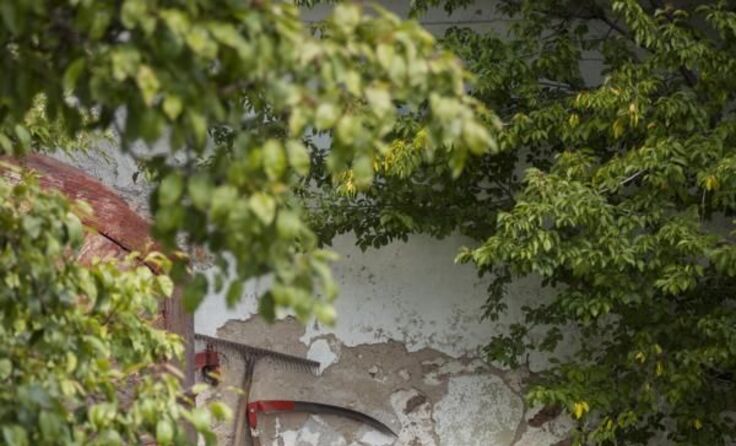 Foto: Martin Ackerl