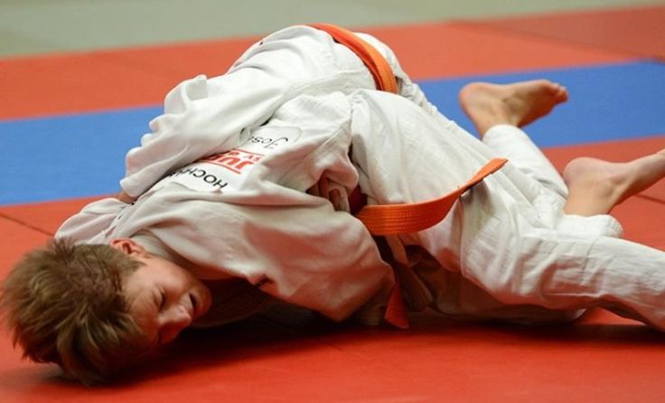 Erfolgreich waren die jungen Judoka aus Gallneukirchen beim Bezirkscup. Fotos: SVG