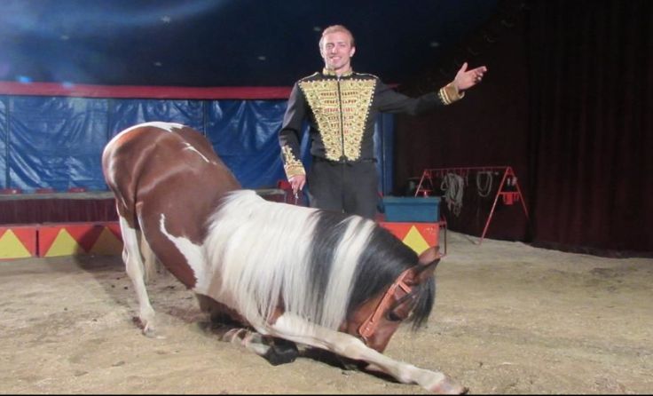 Ein abwechslungsreiches Programm bietet der Circus Althoff. Fotos: Circus Althoff