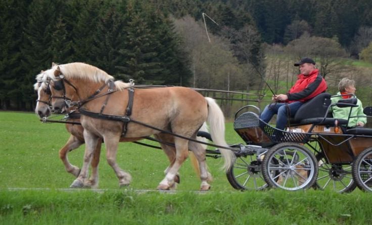 Reiter und Kutschenfahrer können beim Georgi-Ritt am 17. April mitmachen. Foto: Erika Ganglberger