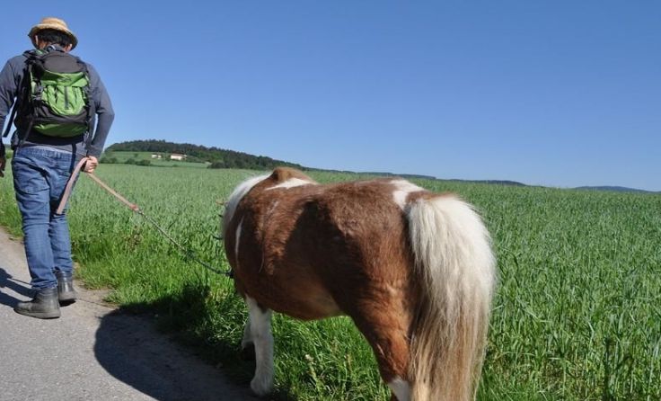 Foto: Diakoniewerk