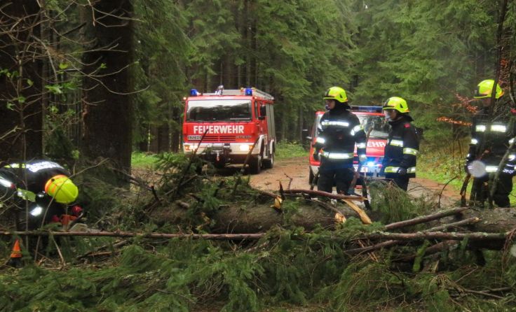 In Hellmonsödt mussten umgestürzte Bäume entfernt werden. Foto: FF Hellmonsödt 