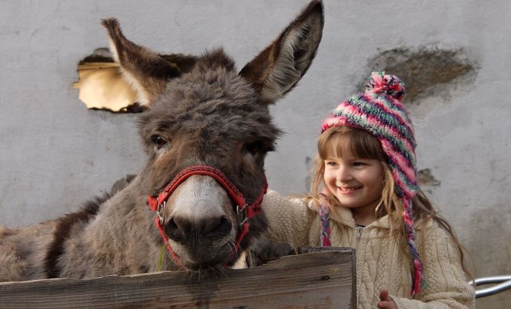 „So a Viecharei“ ist dieses Mal der Titel des Gramastettner Bauernballs. Fotos: Jan Pamula 