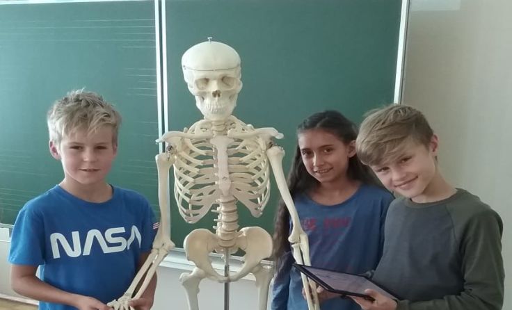 Bad Leonfelden hat die erste MINT-Klasse im Bezirk. Fotos: NMS Bad Leonfelden 