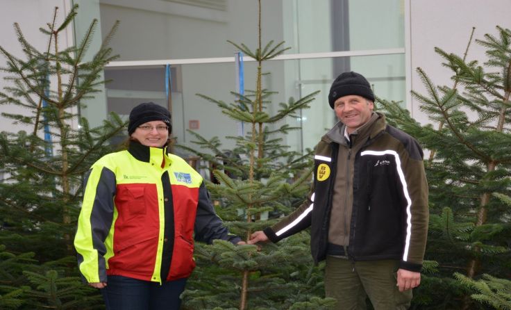 Christbäume und ein Perchtenlauf werden in Lichtenberg geboten. Fotos: Christian Wöss