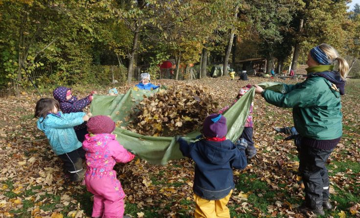 In Sonnberg soll ein Waldkindergarten entstehen. Fotos: Lena Hinterberger