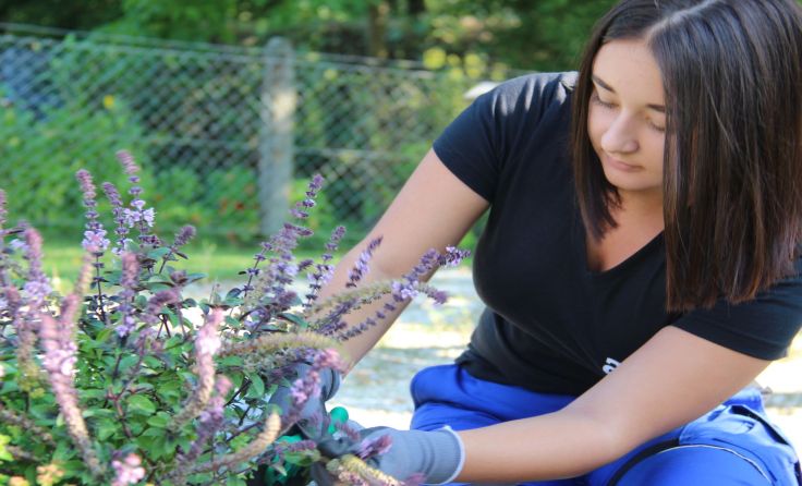 Die Abendschul-Lehrgänge im abz werden am 29. April vorgestellt. Foto: abz Hagenberg 