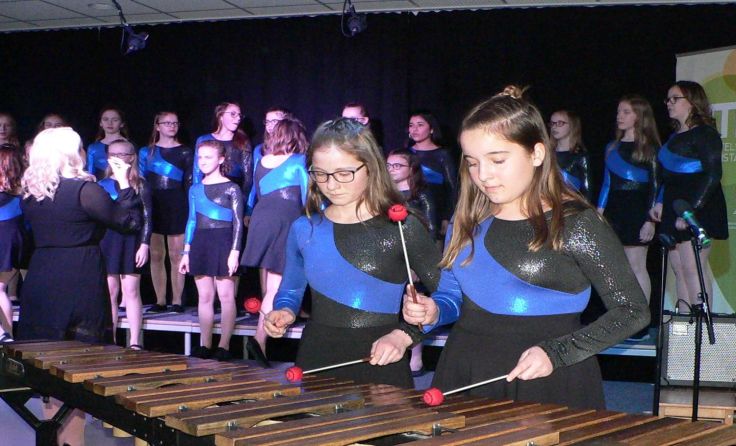 Schüler der Musik-NMS zeigten ihre Talente bei einer Aufführung. Fotos: Musik-NMS Freistadt 