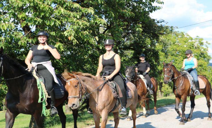 Beim Frühschoppen am 26. Mai wird es auch eine Reitvorführung geben. Foto: Sabrina Brunner 
