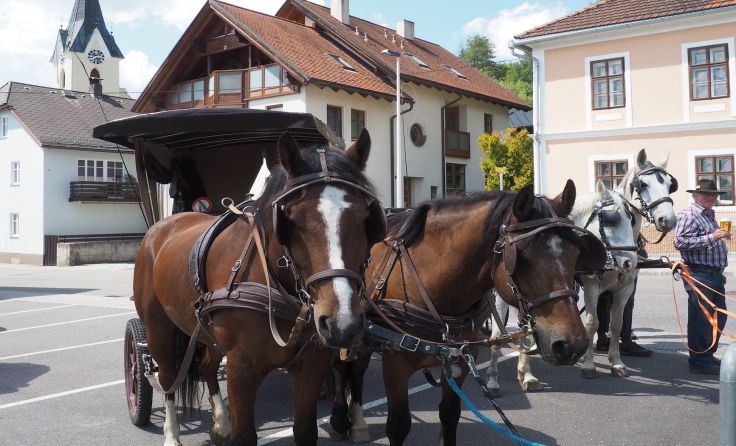 Rast in Weitersfelden vor der Pfarrkirche zum Hl. Ulrich Foto: Ludwig Riepl