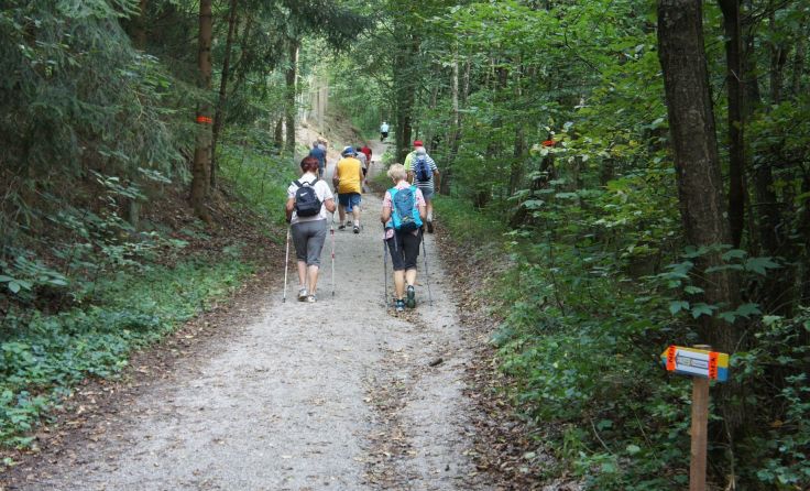 Die Strecke in Pregarten kam bei den Wanderern gut an. Foto: Wanderfreunde Pregarten