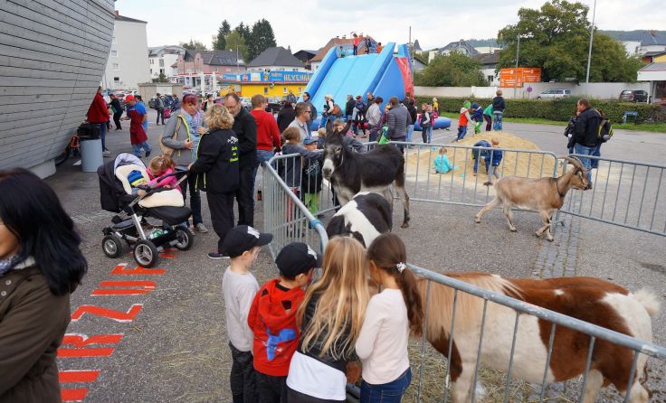 Die SPÖ lädt am 7. September zum Familienfest in Freistadt ein. Foto: SPÖ Freistadt