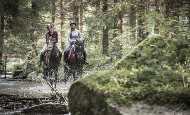Der Johannesritt vereint Pilgern und Wanderreiten. Fotos: Pferdereich Mühlviertler Alm/Erber