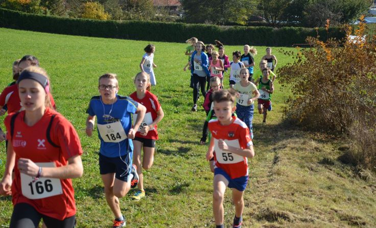 Laufbegeisterte kommen beim Geländelauf in Bad Zell auf ihre Kosten. Foto: privat 