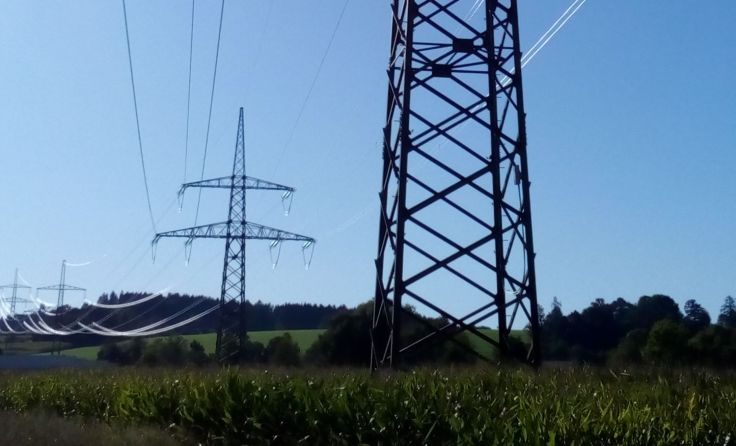 Die IG Landschaftsschutz sucht die "hässlichste Stromleitung". Foto: Winkler 
