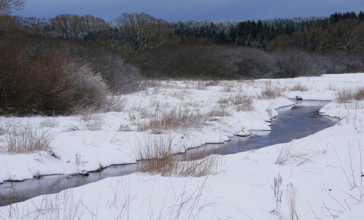 Exkursion durch die Winterlandschaft im Europaschutzgebiet Maltsch Foto: Roger Jagersberger 