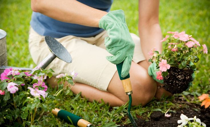 Die Gartenarbeit ist gesund, birgt aber auch Risiken. Foto: Juice Flair/shutterstock.com