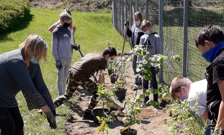 Schüler der NMS Bad Zell pflanzten Sträucher am Schulgelände. Foto: Maria Haslhofer-Gassl