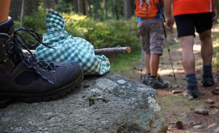 Das Viehberg-Wanderfest findet am 12. September statt. Fotos: Viehberglifte Sandl