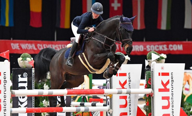 Im Sattel ihres Caligula K startete Stefanie Lindner beim Turnier in Salzburg. Foto: Sibil Slejko 