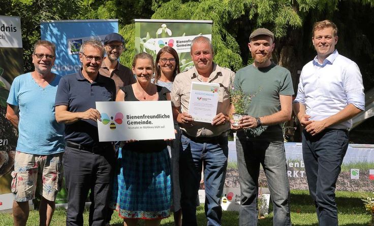 Die Gemeinde Neumarkt ist "bienenfreundlich" Foto: Land OÖ