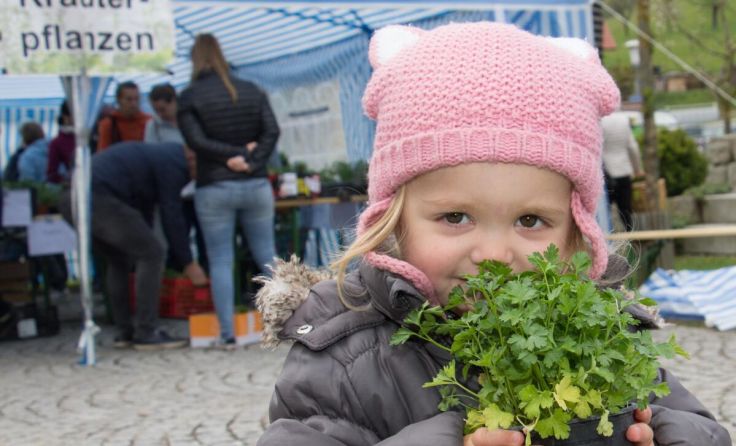 Kräuter und Pflanzerl werden beim Genuss-Markt geboten. (Foto: Manfred Schauer)