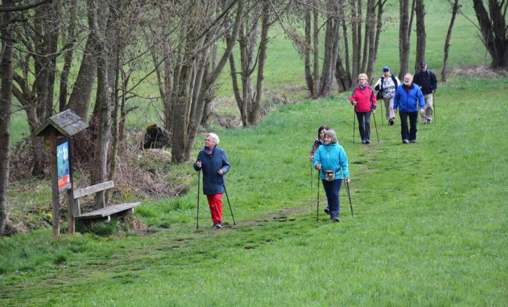 Wandern in Freistadt (Foto: Foto: privat)