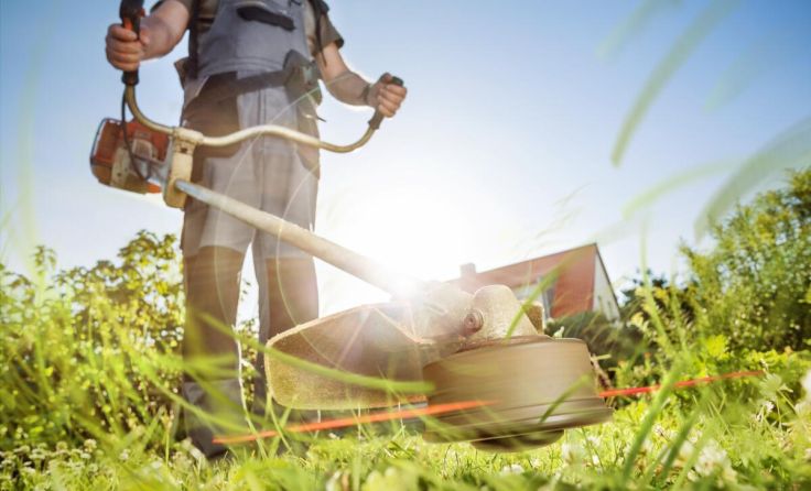 Vorsicht bei der Gartenarbeit (Foto: stock.adobe.com/photoschmidt)