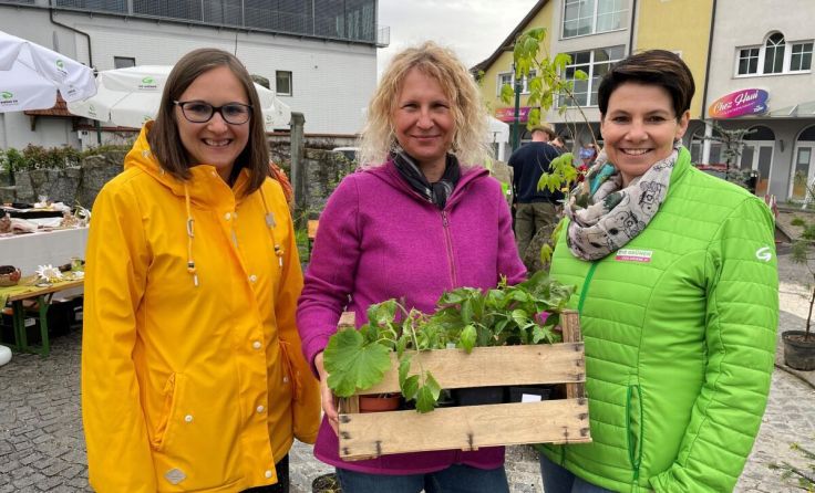 Lisa Parzer, Martina Eigner, LAbg. Dagmar Engl (Foto: Die Grünen Katsdorf)