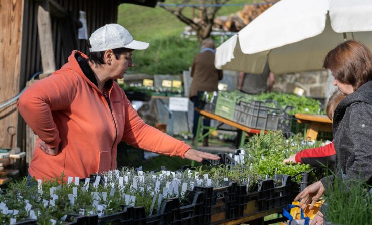 Pflanzerlmarkt in Hirschbach (Foto: privat)