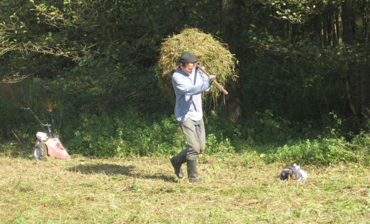 Naturschutz-Mitmachaktion in Neumarkt (Foto: Naturschutzbund)