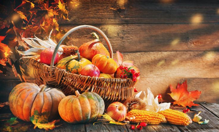 Herbstmarkt in St. Oswald (Foto: stock.adobe.com/Alexander Raths)