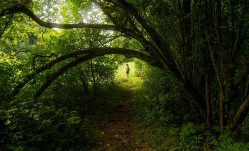 Mit Licht und Gefühl - Romana Miesenberger zeigt ihre Fotografien 