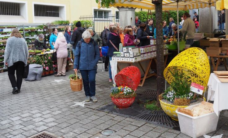 Pflanzerlmarkt in Pregarten (Foto: Siedlerverein)