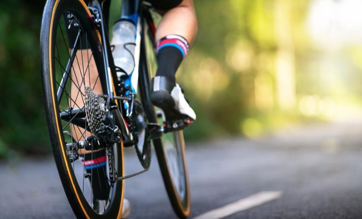 Eine Radfahrerin wurde in Hirschbach gebissen. (Foto: stock.adobe.com/kunchainub)