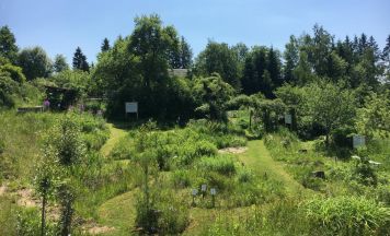 Sommerkulturtage am Pienkenhof starten mit Tag der offenen Gartentür