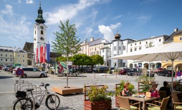 Crowdfunding-Aktion - Freistädter Hauptplatz soll schattige Wohlfühlzone werden