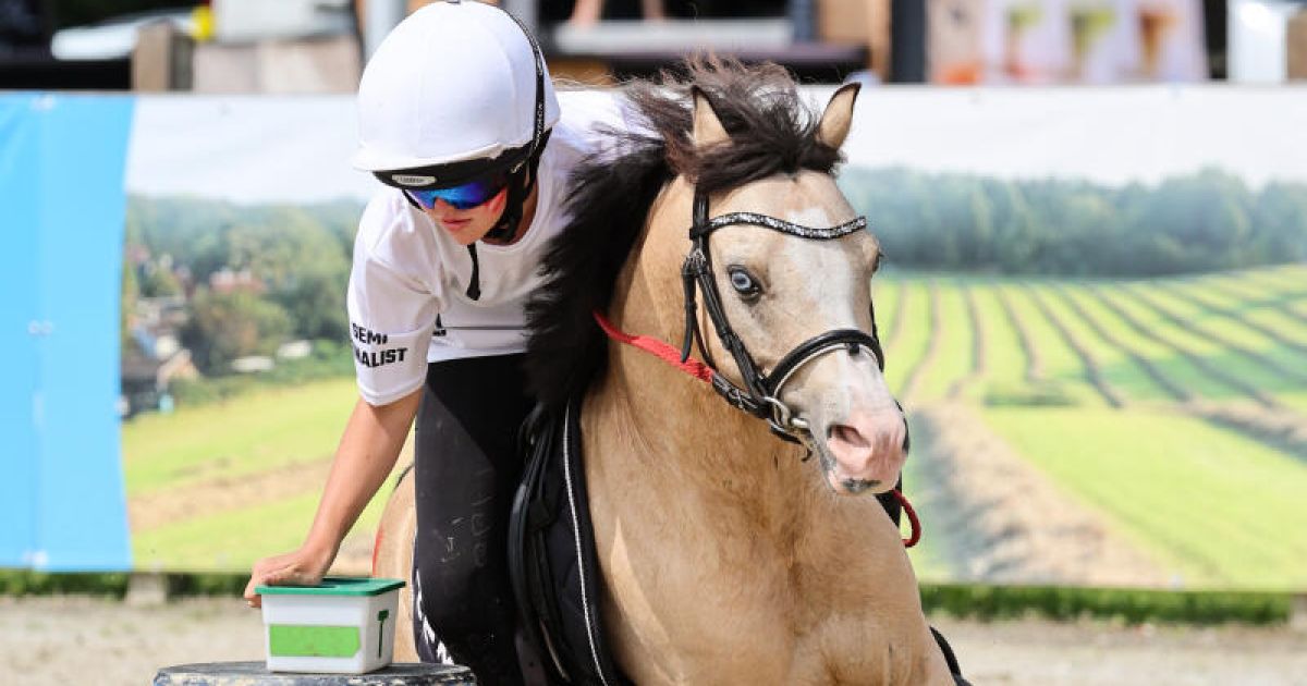 Helena Montgomery from Gutau achieves top-ten place at the Mounted Games ...