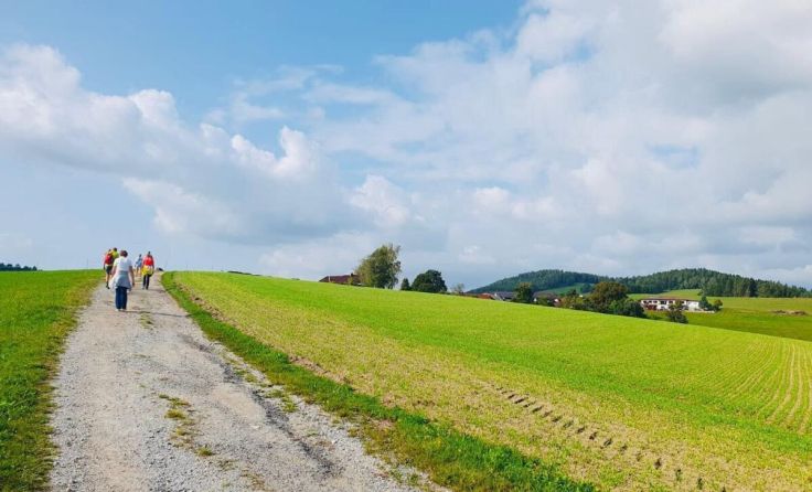 IVV Wandertag in Gutau (Foto: Union Gutau)