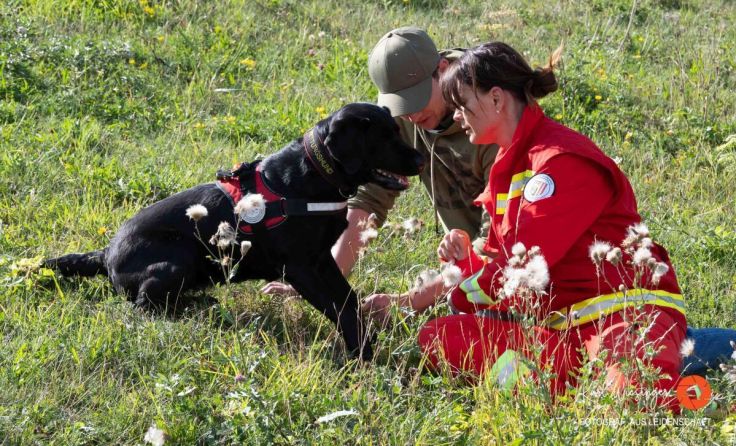 Die Rettungshundebrigade war ein besonderer Besuchermagnet. (Foto: Karl Wiesinger)
