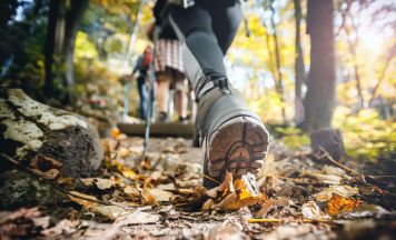 IVV Wandertag in Hagenberg